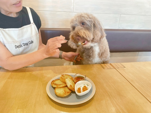 カフェでシェアして愛犬との絆が深まる！乳アレルギーでも安心な大豆