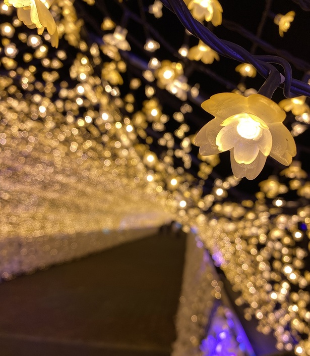 「江戸桜トンネル」のライトは、なんと1球1球が桜の花の形をしている