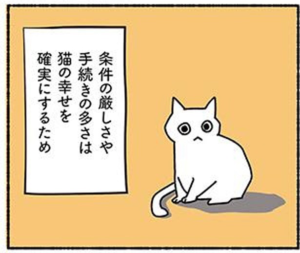 猫の幸せを確実にするため / （C）オキエイコ／KADOKAWA