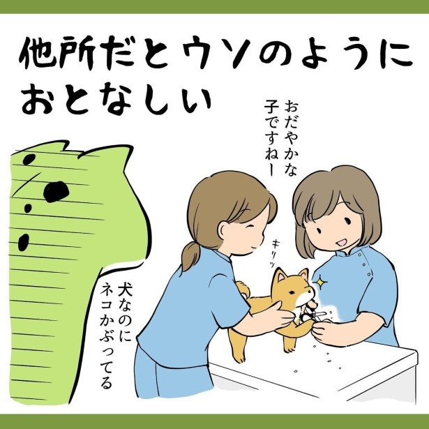 犬との暮らしで子育てとちょっと似てるなぁと思うこと3_P006