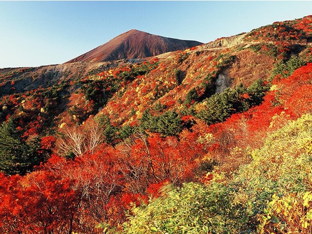 紅葉の見所として毎年多くの観光客が訪れる / 磐梯吾妻スカイライン