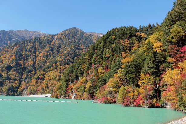 紅葉と水面のコントラストが美しい / 高瀬渓谷の紅葉