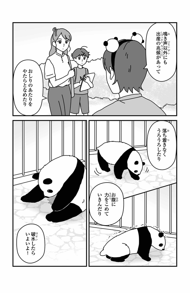 「パンダのミライー浜家・良浜 いのちの物語ー」#4(9/10)