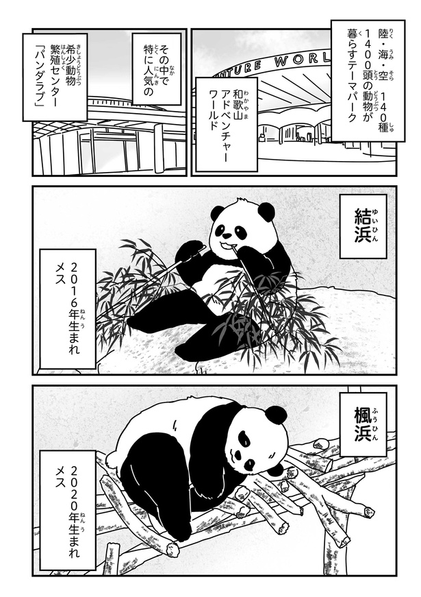 「パンダのミライー浜家・良浜 いのちの物語ー」#1(1/13)
