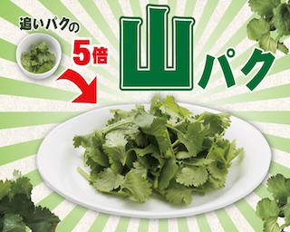 パクチ二ストはデニーズに集合！大好評「追いパク」の5倍の量「山パク」が登場