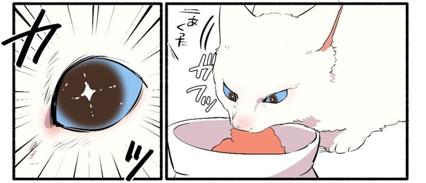 【漫画】元野良猫が初のウェットフードに大ショック / 画像提供／久川はるさん