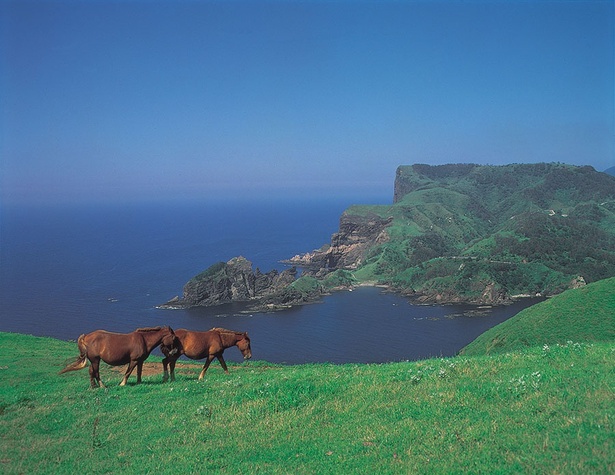 隠岐諸島まで足を伸ばせば、絶景が楽しめる。写真は、隠岐最大の景勝地「摩天崖」
