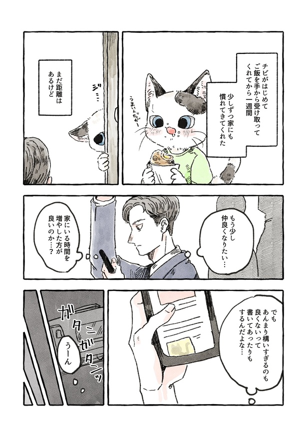 「人見知りの子猫と家族になりたい男が奮闘する話」 1/8