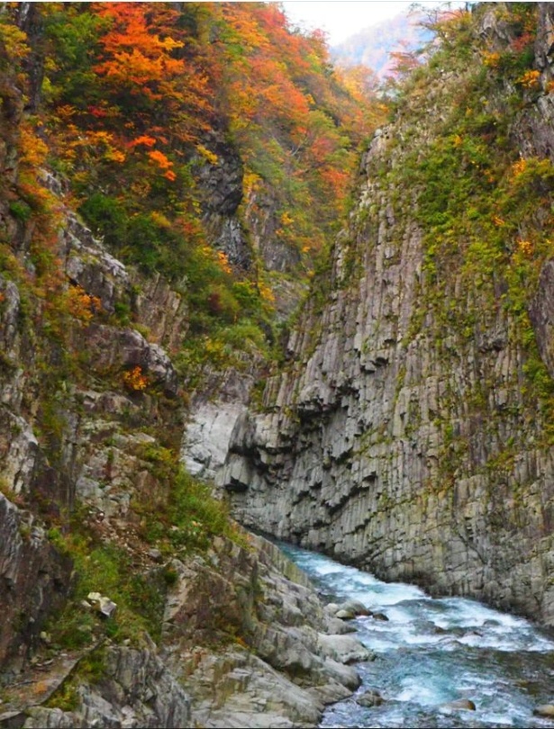 切り立つ崖に色づく紅葉が自然の作り出す絶景だ / 清津峡の紅葉