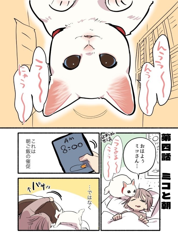 白い猫と暮らしている漫画4話P001