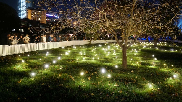 【写真】芝生の広場に無数の光が飛び交うインスタレーション「Firefly Field」をはじめ、スペシャルな作品が続々