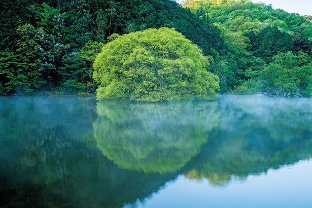 湖の水が木の下まで満ち、無風時には湖面に風景がキレイに映り込む/室生湖