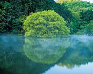 【涼絶景】鏡の湖面に映りこむ深緑！神秘の湖「室生湖」を巡るドライブルート