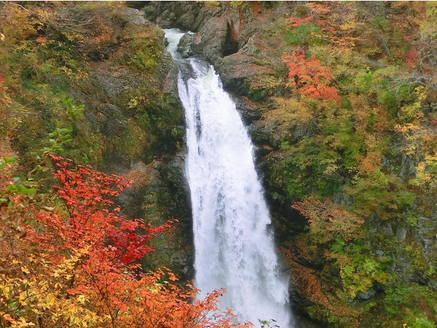 流れ落ちる滝の音と紅葉の情景がマッチ / 秋保大滝の紅葉