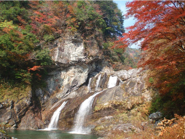 赤や黄に染まる山々の間を流れ落ちる滝に圧倒 / 瀬戸川渓谷の紅葉