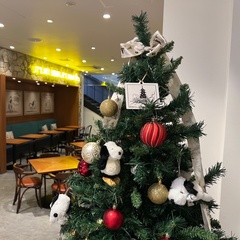 店舗に飾られるクリスマスツリーにも注目！