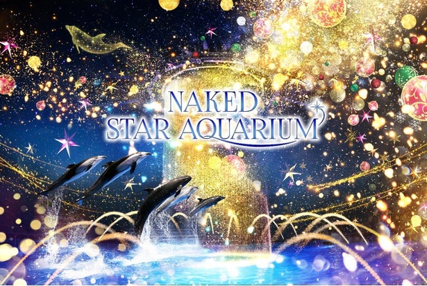【写真】星空の海を舞うイルカたちのショーを楽しめる「NAKED STAR AQUARIUM」