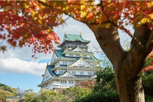 天守閣を中核に据えた、歴史のロマンがあふれる公園だ / 大阪城公園の紅葉