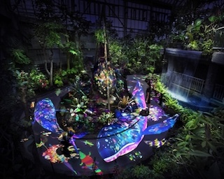 デジタルと自然の融合！チームラボが夜の植物館をアートで彩る！