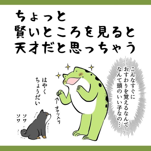 犬との暮らしで子育てとちょっと似てるなぁと思うこと010