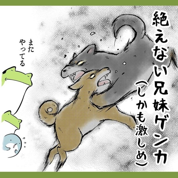 犬との暮らしで子育てとちょっと似てるなぁと思うこと014