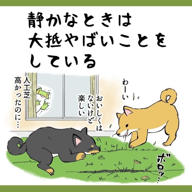 犬との暮らしで子育てとちょっと似てるなぁと思うこと017