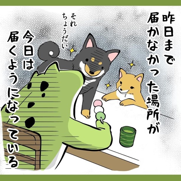 犬との暮らしで子育てとちょっと似てるなぁと思うこと019