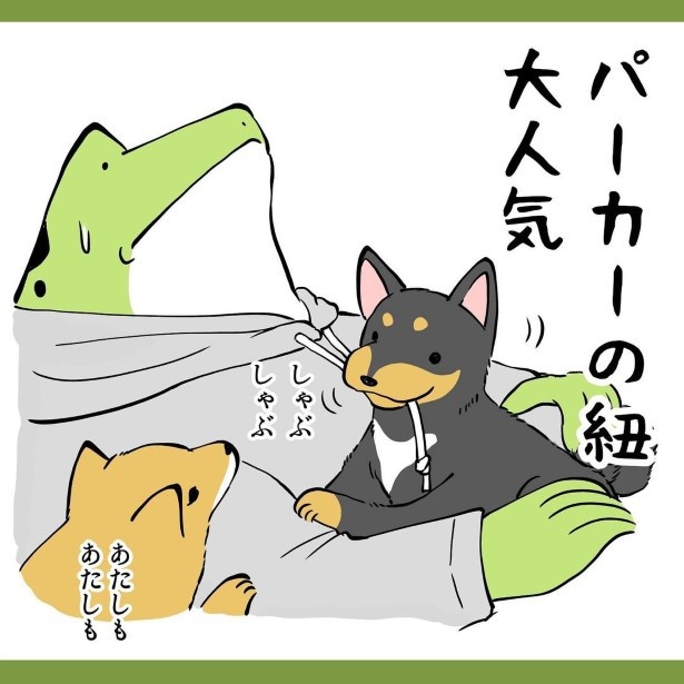 犬との暮らしで子育てとちょっと似てるなぁと思うこと021