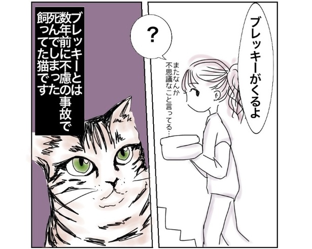 会いたかった猫に会えるのなら、どんな形でもいいから会いたい！