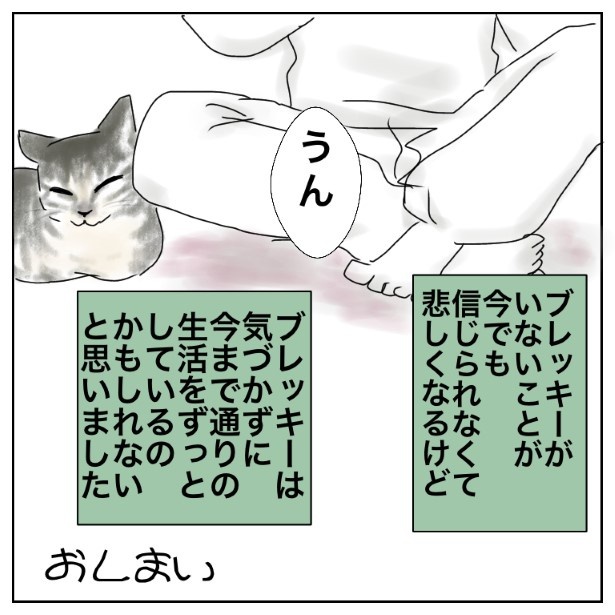 うちの猫の話_p010