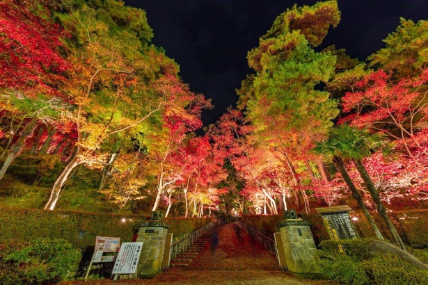 本大門から眺める紅葉 / 松雲山荘の紅葉