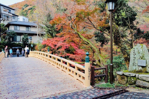 新生こおろぎ橋を彩る赤黄色のモミジ / 鶴仙渓の紅葉