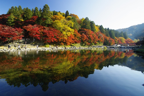 水面に映り込む紅葉の景観美は見事 / 香嵐渓の紅葉