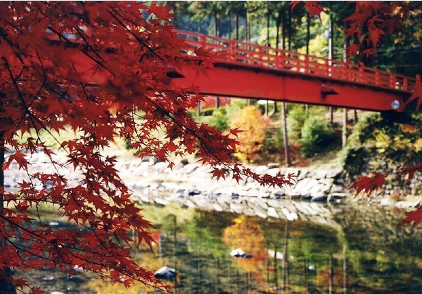 水面に映る赤い橋と紅葉が美しい  / 宇甘渓の紅葉