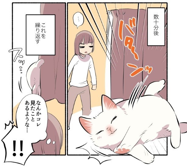 白い猫と暮らしている漫画5話P006