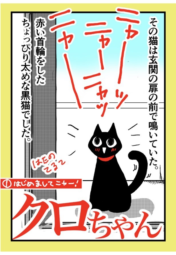 今でもキミを探している…」人懐っこい黒猫との出会いと別れを描いた