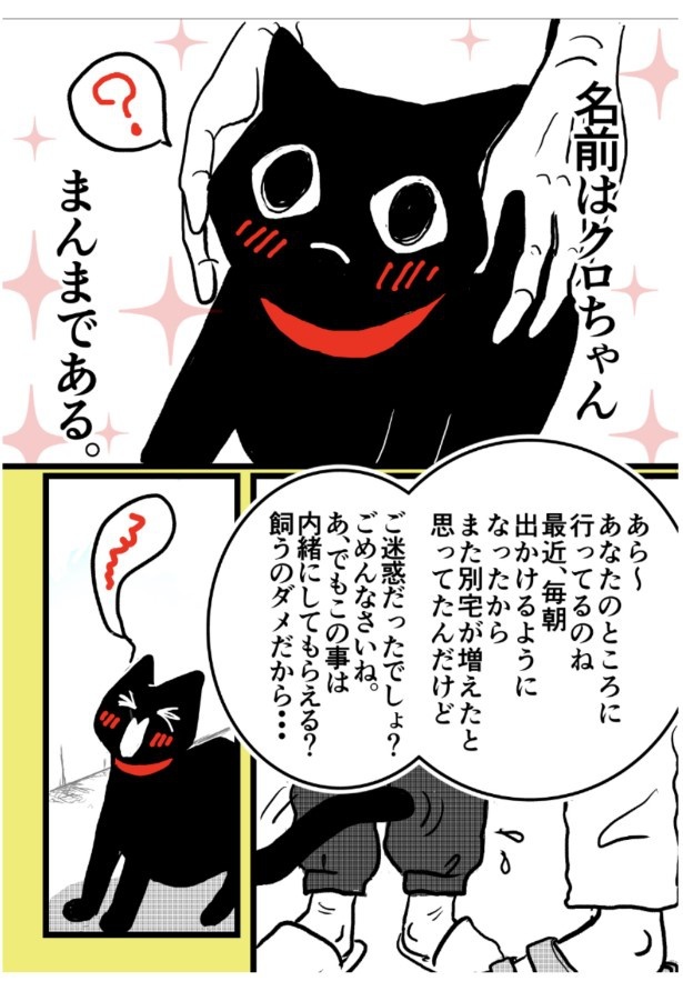 画像11 / 46＞「今でもキミを探している…」人懐っこい黒猫との出会いと