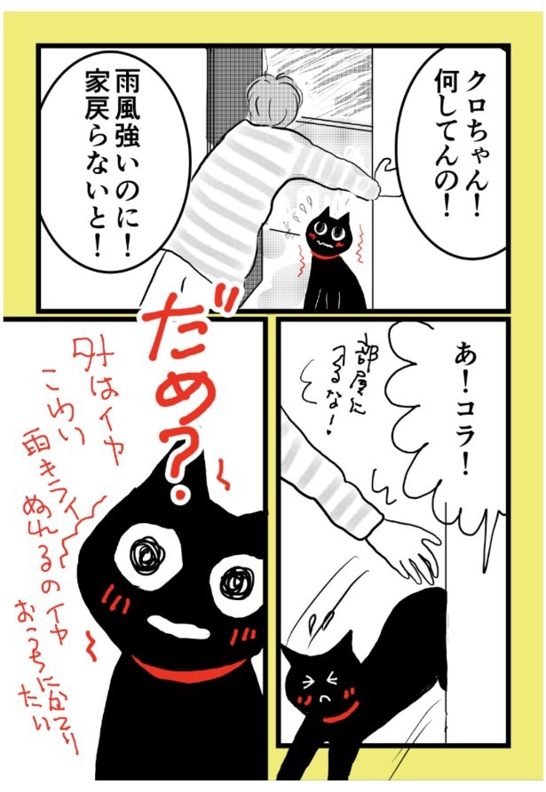 クロちゃん。P22