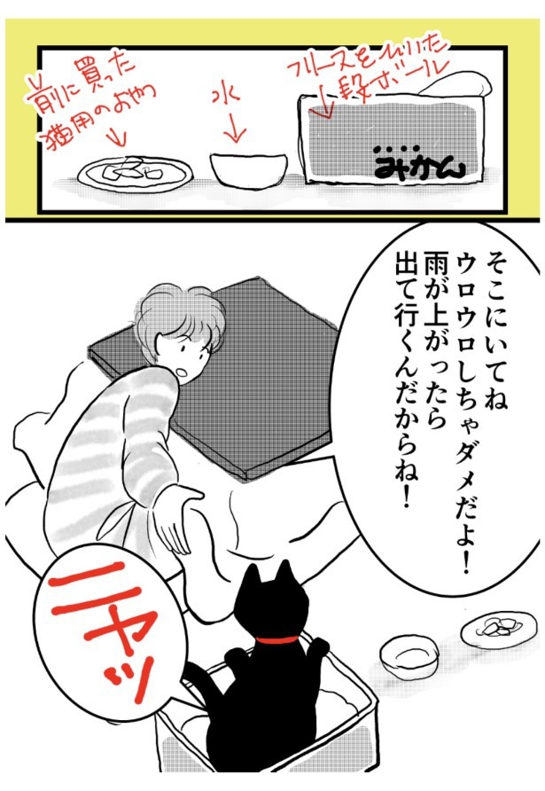 クロちゃん。P26