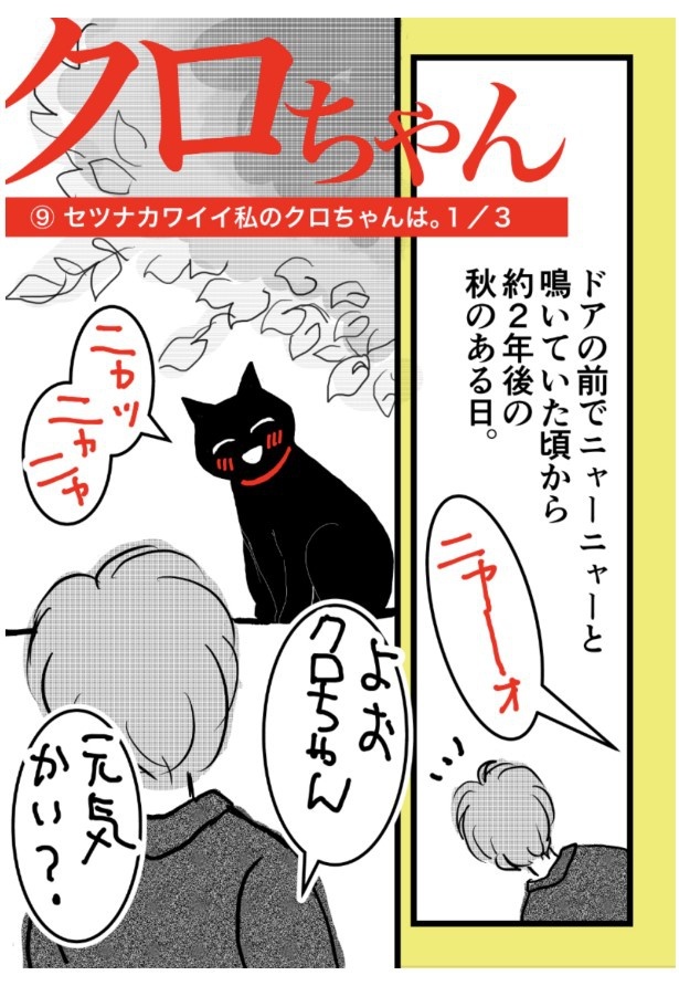 クロちゃん。P34