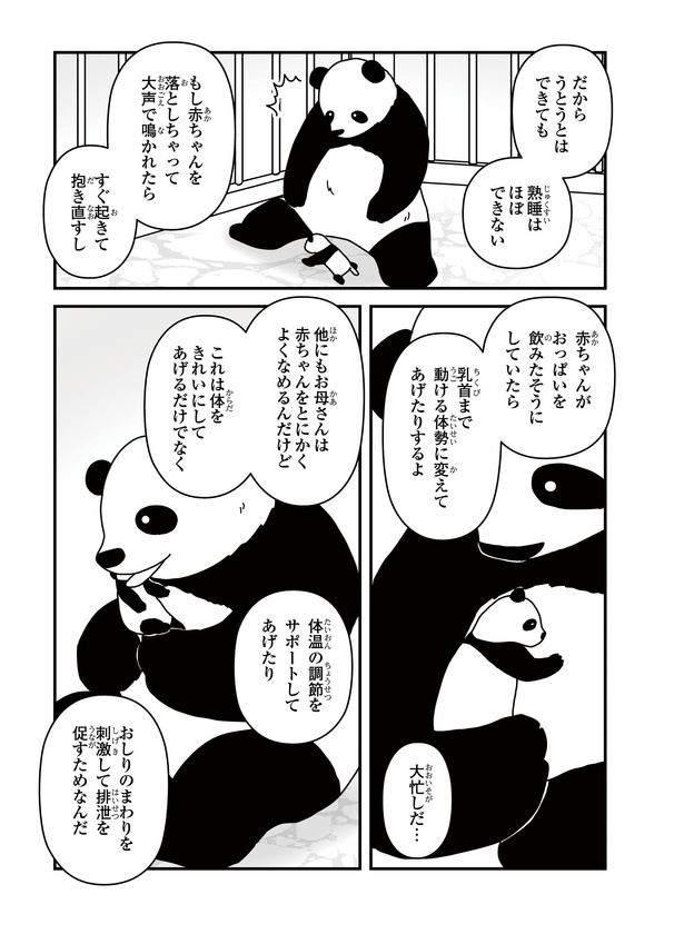 「パンダのミライー浜家・良浜 いのちの物語ー」#8(5/10)