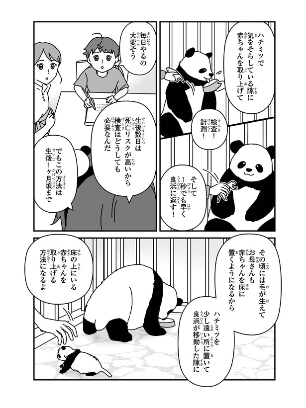 「パンダのミライー浜家・良浜 いのちの物語ー」#5(5/10)