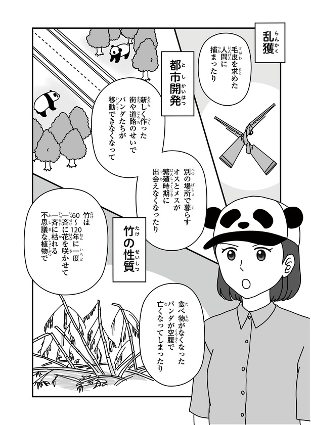 「パンダのミライー浜家・良浜 いのちの物語ー」#2(5/10)