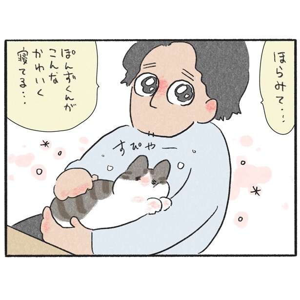 くろもとぽんず～うちの猫がかわいすぎる！～より