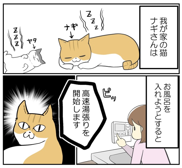 「ギリギリを楽しむ猫に事件発生」01