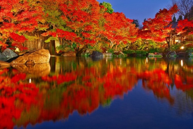 大池に映る錦色の紅葉が幽玄な世界を演出する  / 姫路城西御屋敷跡庭園 好古園の紅葉