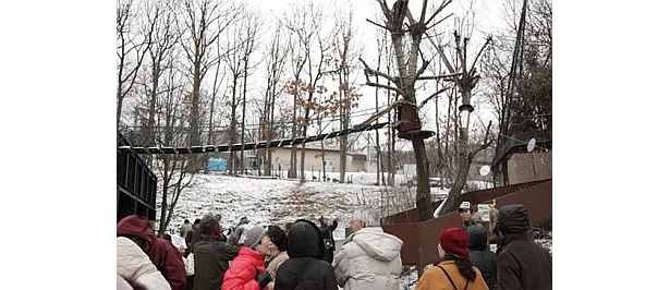 つり橋を渡るときがシャッターチャンス