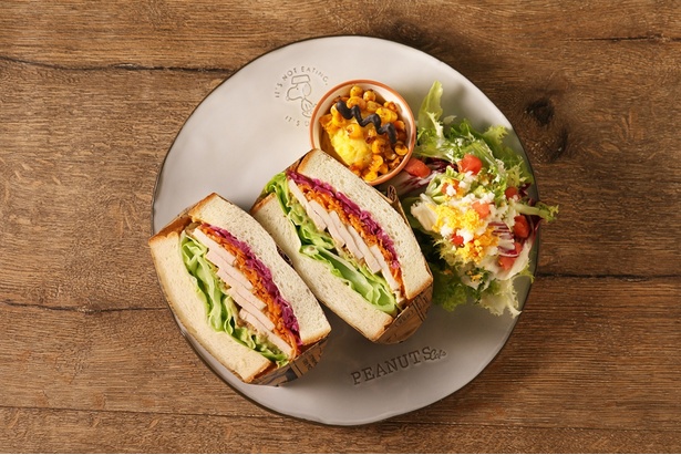 たっぷり入った野菜がうれしい「スチームチキン・ピーナッツマスタード・デュカスパイスのサンド」。中東発祥のミックススパイス「デュカ」の香ばしい風味もポイント
