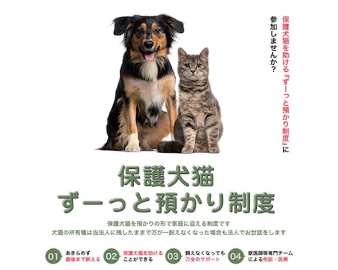 高齢者でもペットのお迎えを諦めなくていいって本当？岐阜県で始まった保護犬猫を助ける「ずーっと預かり制度」について担当者を直撃