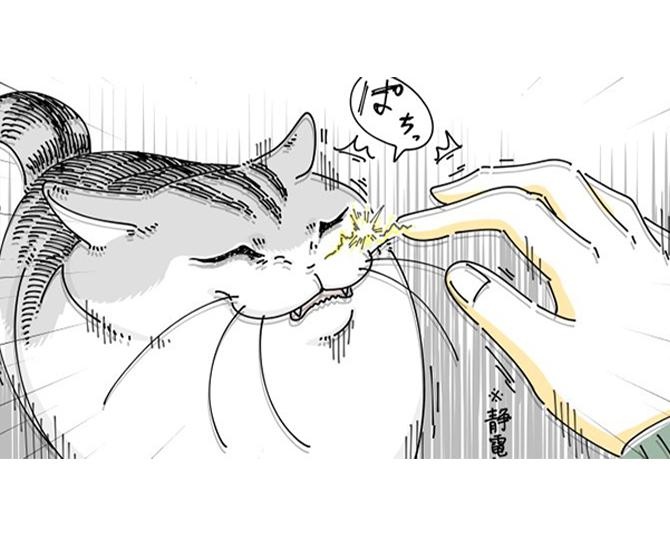 【ネコ漫画】不意打ちな静電気に驚く愛猫!?それでも飼い主に甘える姿にSNSで「あるある」と共感の声多数